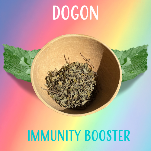 Dogon Immunity Booster - Moringa Tea