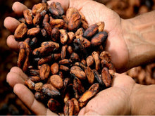 Load image into Gallery viewer, Cacao Lovers Gift Set
